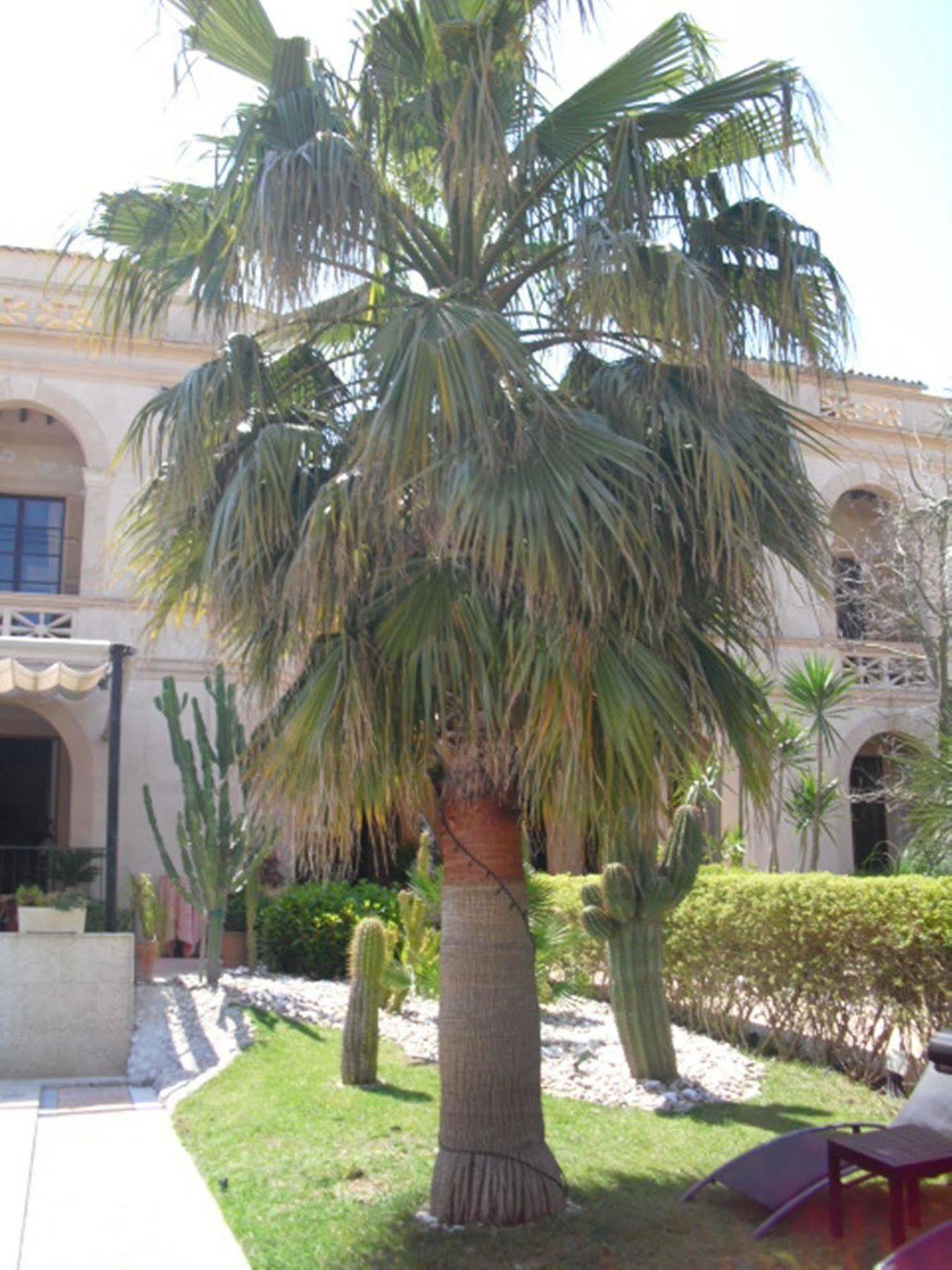 Hotell Palacio Sant Salvador
